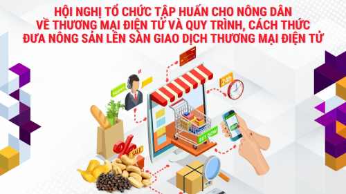 Tập huấn kỹ năng đưa nông sản lên sàn thương mại điện tử