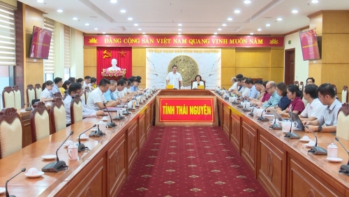Thái Nguyên và Bình Phước trao đổi kinh nghiệm về chuyển đổi số