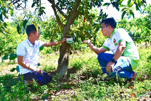 Bình Phước tạo đột phá từ nông nghiệp thông minh