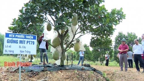 Tư duy nông nghiệp số